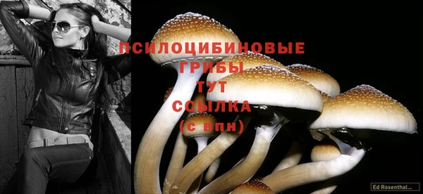 mdpv Елабуга