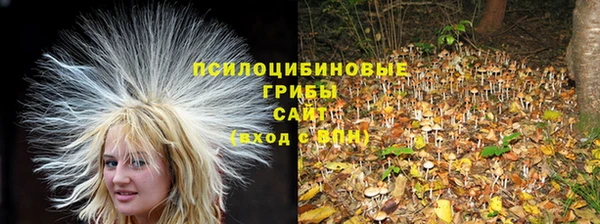 mdpv Елабуга