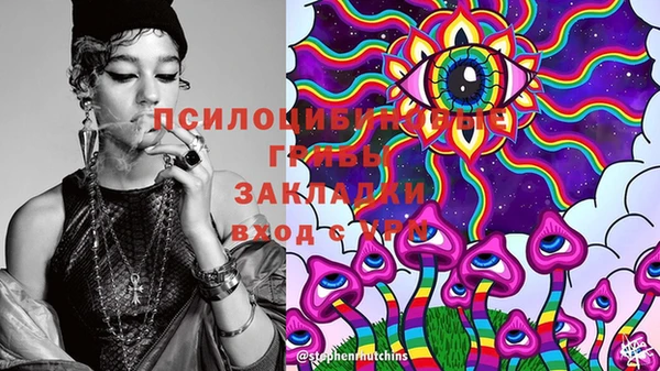 экстази Ельня